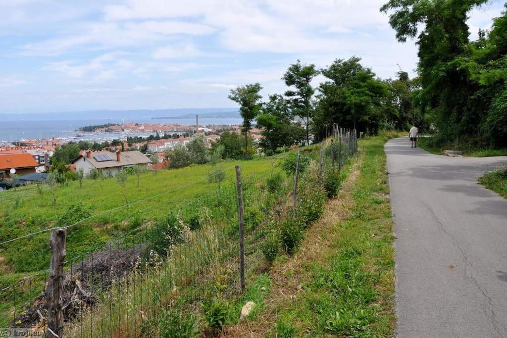 Apartment Izolanka / Great Location / Best Sea And City View Exteriér fotografie